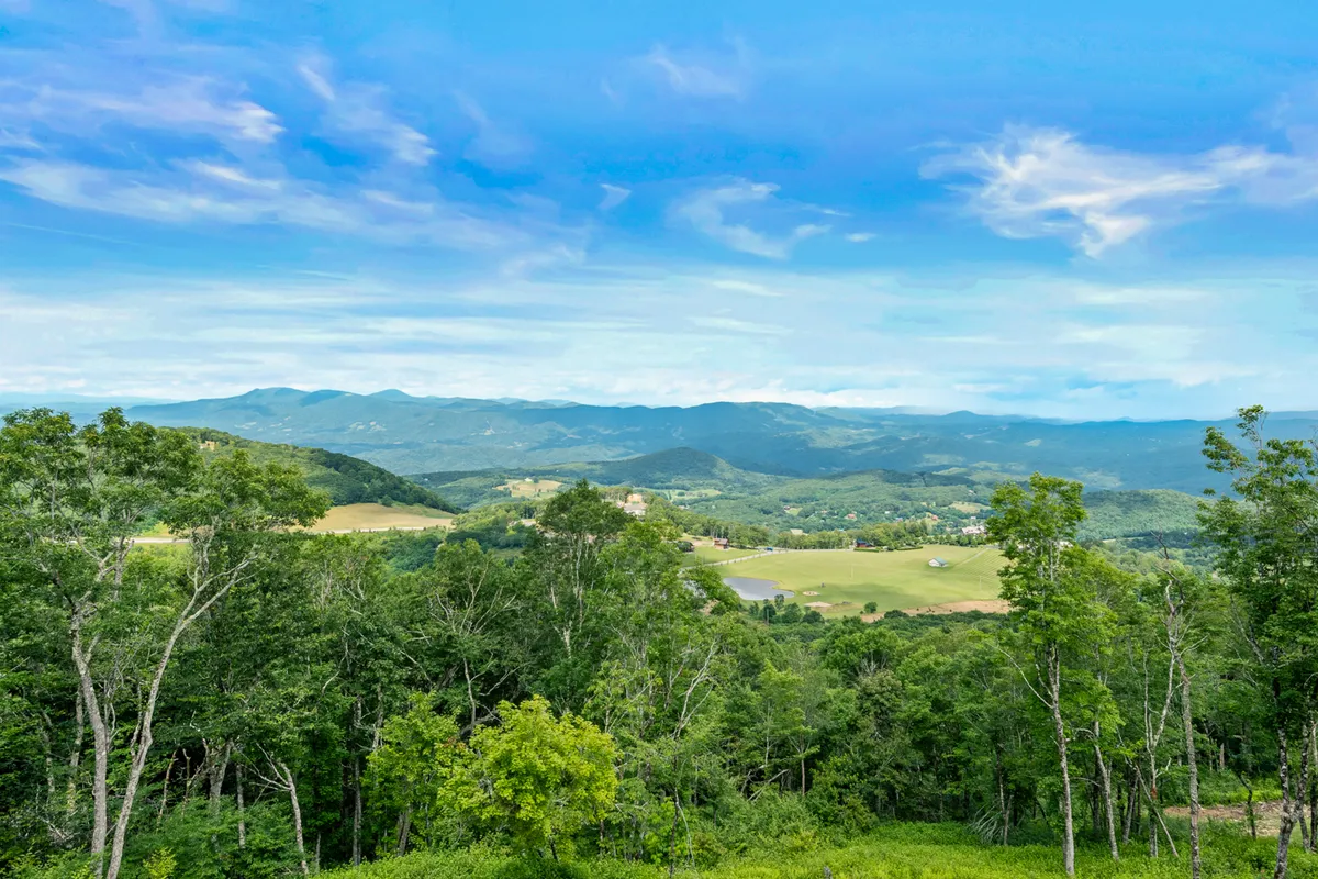 A panoramic view of lush green trees stretching toward a majestic mountain range beneath a clear blue sky. The landscape is untouched and expansive, suggesting endless opportunities for outdoor adventure and reflecting the region's natural beauty across seasons.